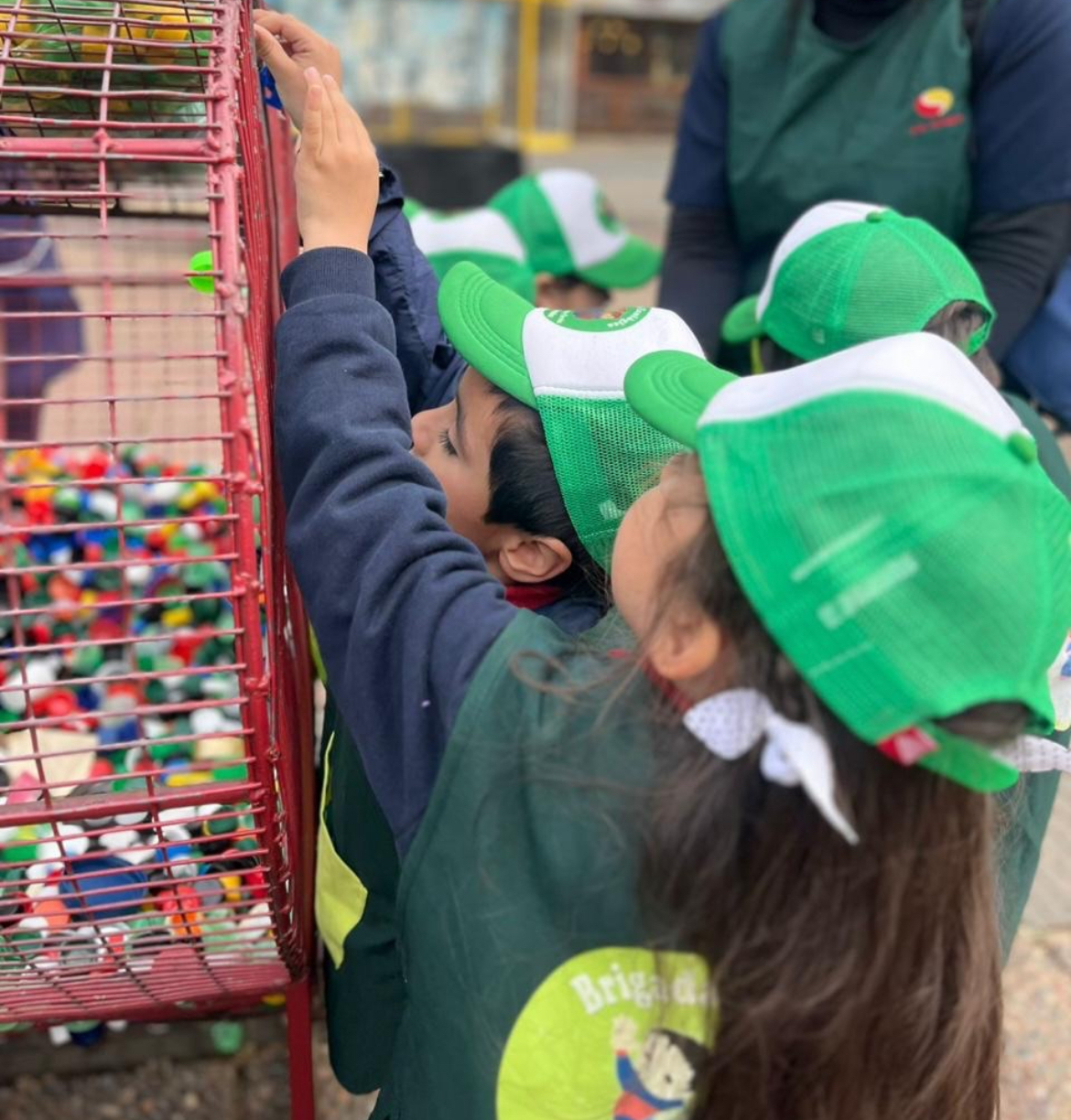 Brigada Ecológica